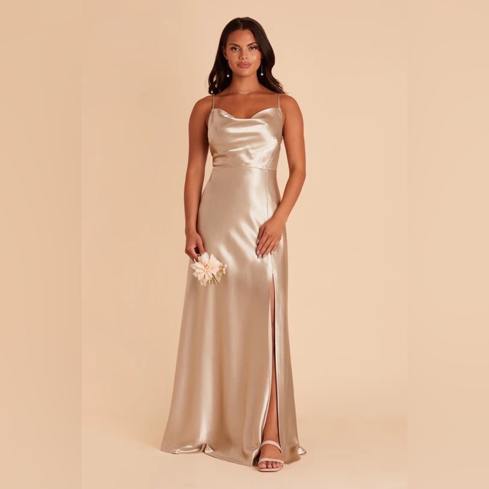 Birdy Grey Lisa Long Bridesmaid Dress in Neutral Champagne